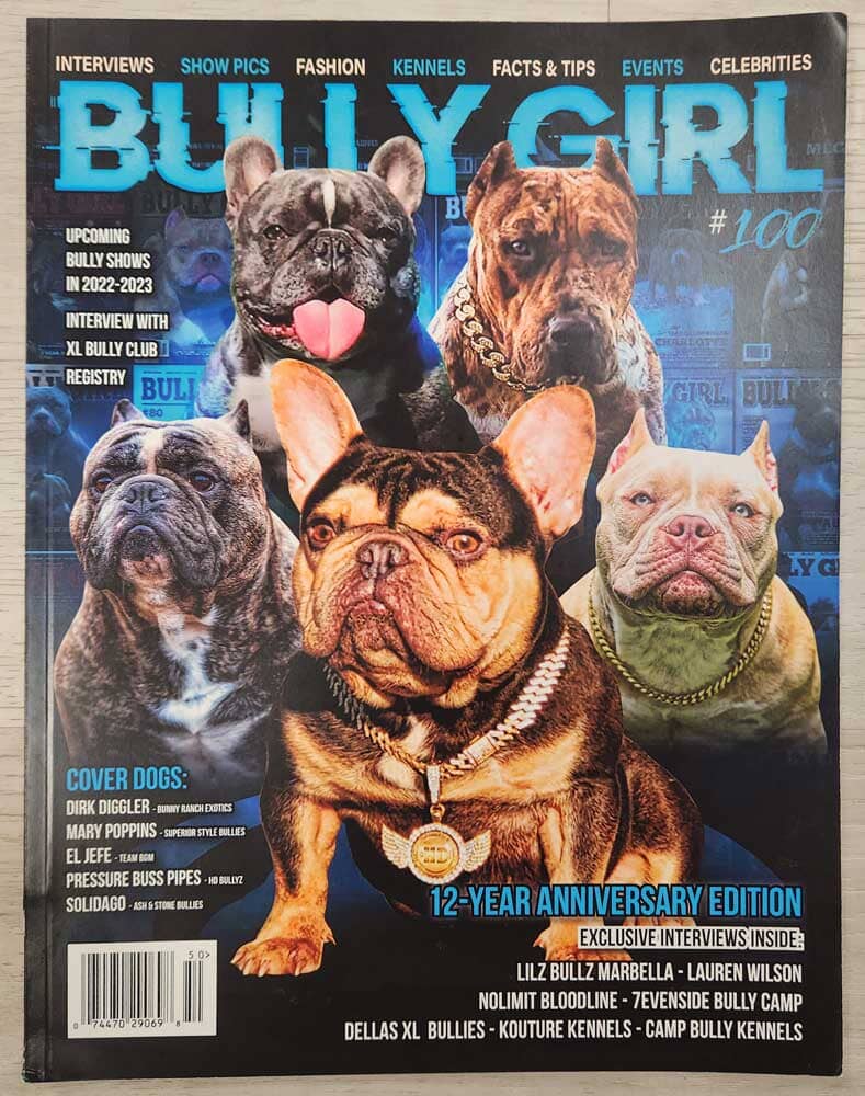 Bully Girl Magazine Back Issues (Used Condition) - BGM Warehouse - The Best Bully Breed Magazines, Clothing and Accessories