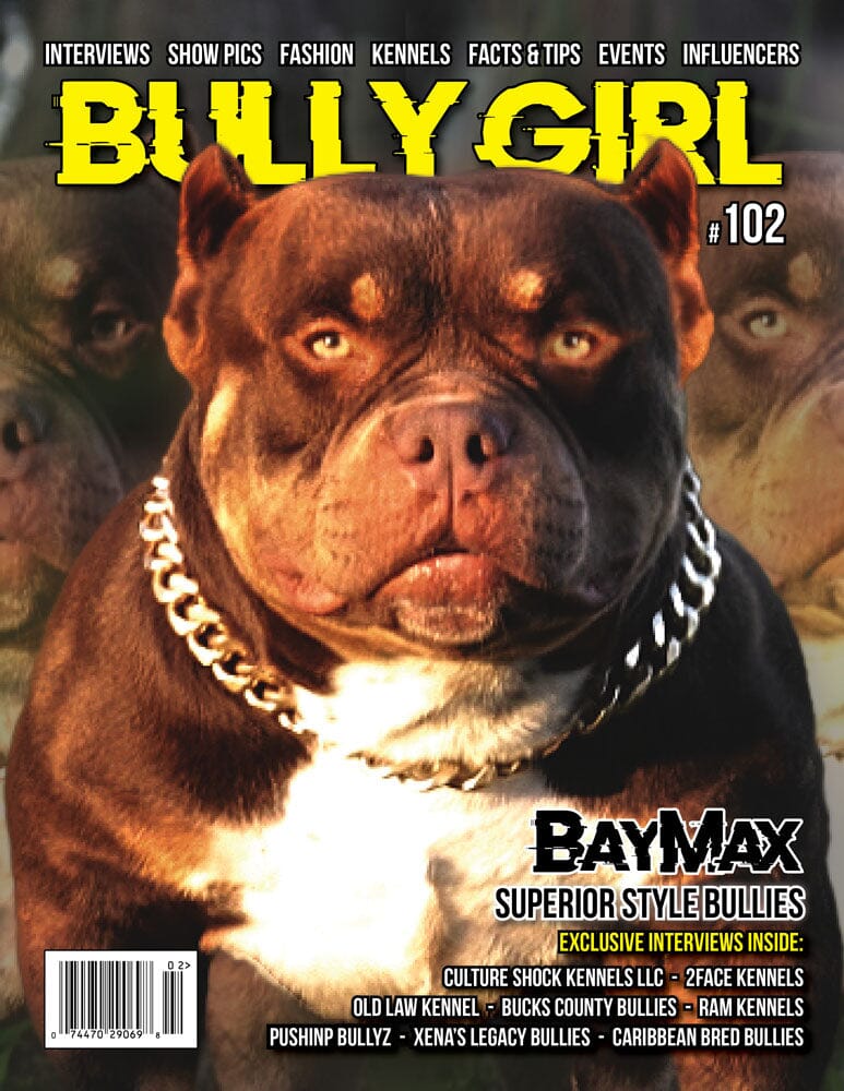 Bully Girl Magazine Issue 102