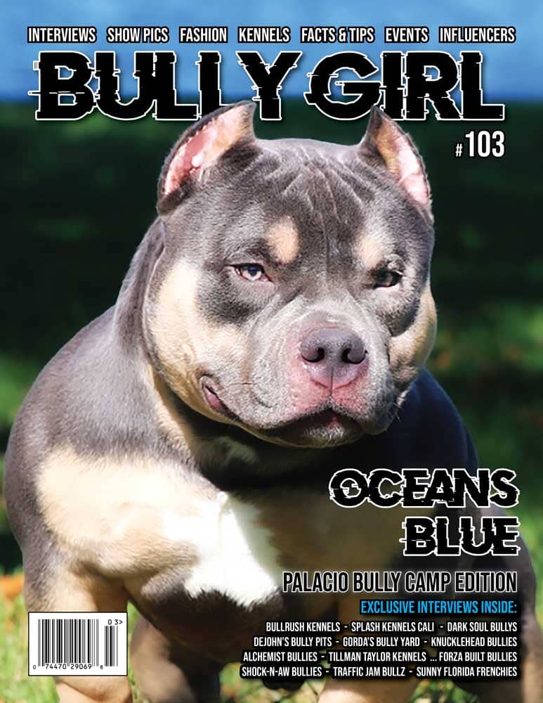 Bully Girl Magazine Issue 103 - Palacio Bully Camp Edition