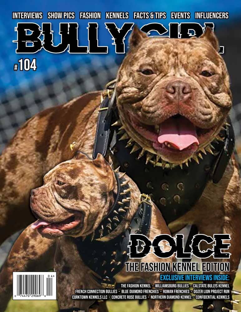 Bully Girl Magazine Issue 104 (Last Few Copies) - BGM Warehouse - American Bully Magazines and Supplies