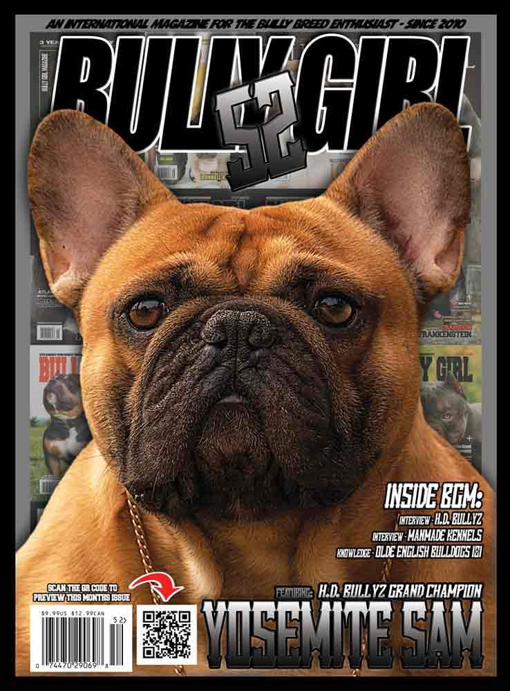 Bully Girl - Digital Issue 52 - BGM Warehouse - The Best Bully Breed Magazines, Clothing and Accessories