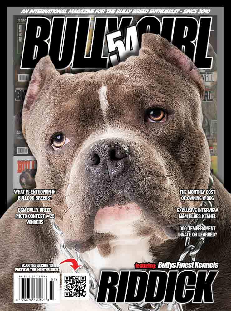 Bully Girl - Digital Issue 54 - BGM Warehouse - The Best Bully Breed Magazines, Clothing and Accessories