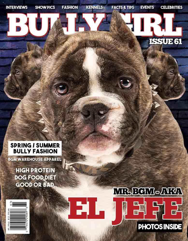 Bully Girl - Digital Issue 61 - BGM Warehouse - The Best Bully Breed Magazines, Clothing and Accessories