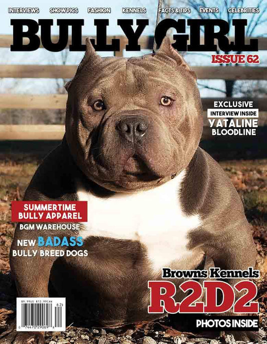 Bully Girl - Digital Issue 62 - BGM Warehouse - The Best Bully Breed Magazines, Clothing and Accessories