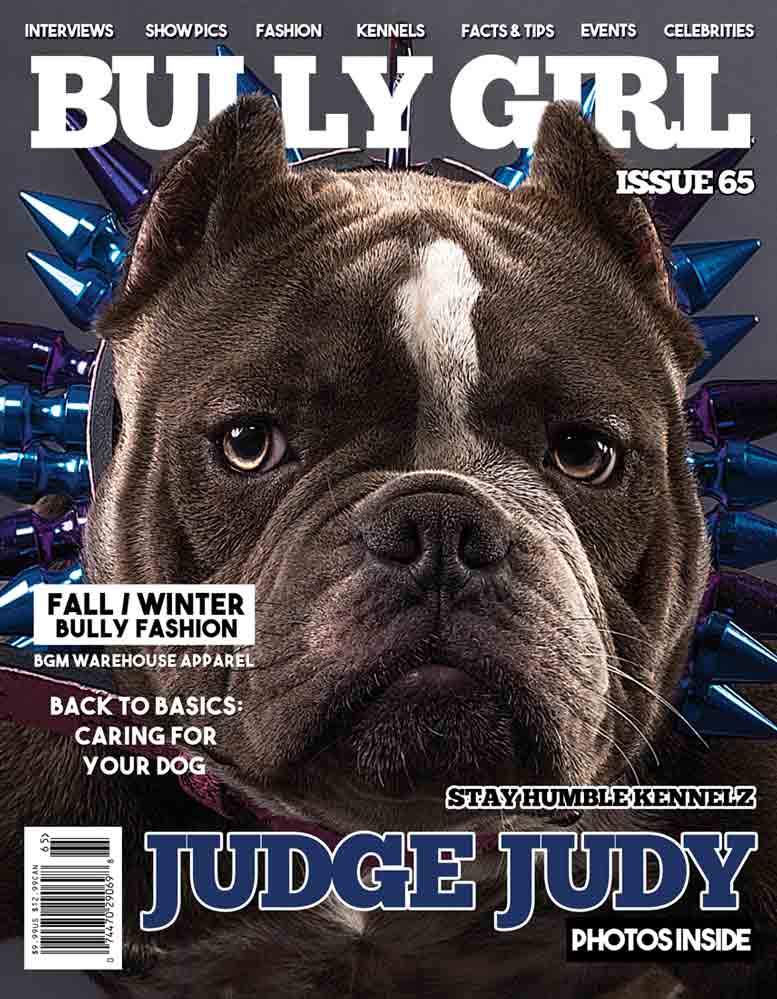 Bully Girl - Digital Issue 65 - BGM Warehouse - The Best Bully Breed Magazines, Clothing and Accessories