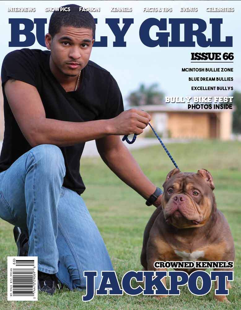 Bully Girl - Digital Issue 66 - BGM Warehouse - The Best Bully Breed Magazines, Clothing and Accessories