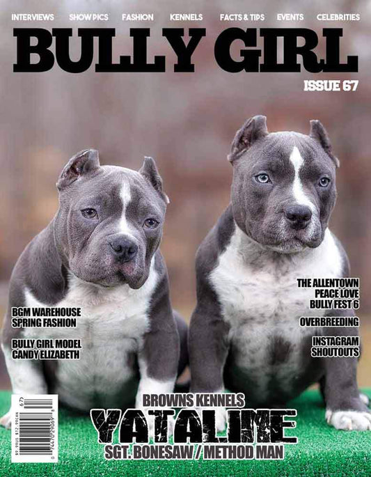 Bully Girl - Digital Issue 67 - BGM Warehouse - The Best Bully Breed Magazines, Clothing and Accessories