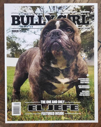 BGM Back Issues (Used Condition) - BGM Warehouse - The Best Bully Breed Magazines, Clothing and Accessories