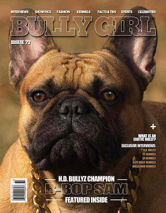 Bully Girl - Digital Issue 72 - BGM Warehouse - The Best Bully Breed Magazines, Clothing and Accessories