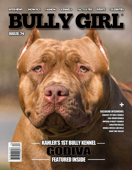 Bully Girl - Digital Issue 74 - BGM Warehouse - The Best Bully Breed Magazines, Clothing and Accessories