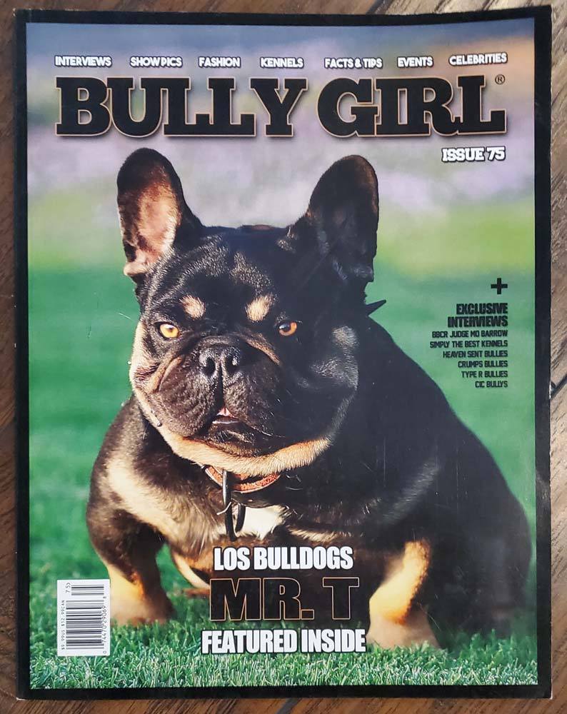 BGM Back Issues (Used Condition) - BGM Warehouse - The Best Bully Breed Magazines, Clothing and Accessories