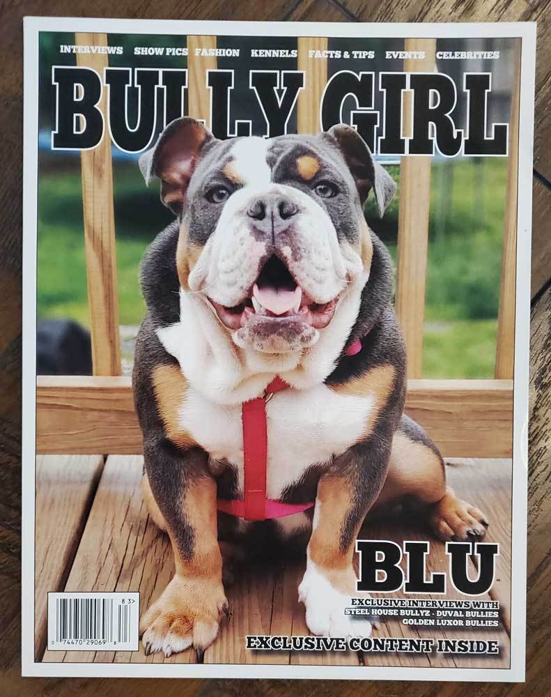 BGM Back Issues (Used Condition) - BGM Warehouse - The Best Bully Breed Magazines, Clothing and Accessories