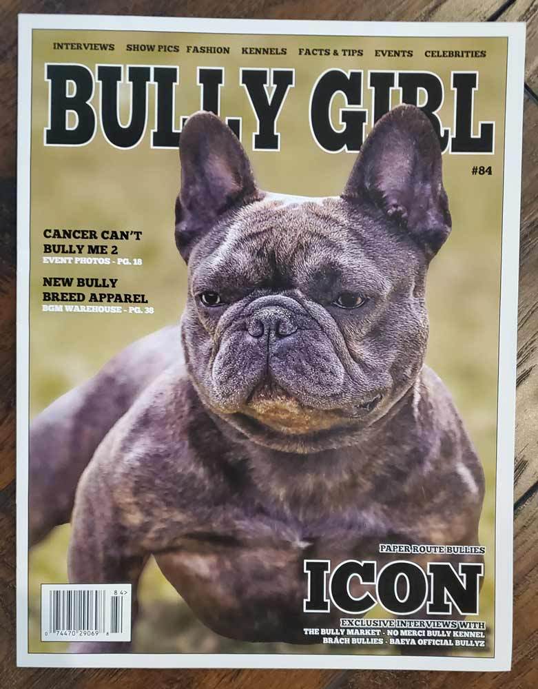 BGM Back Issues (Used Condition) - BGM Warehouse - The Best Bully Breed Magazines, Clothing and Accessories