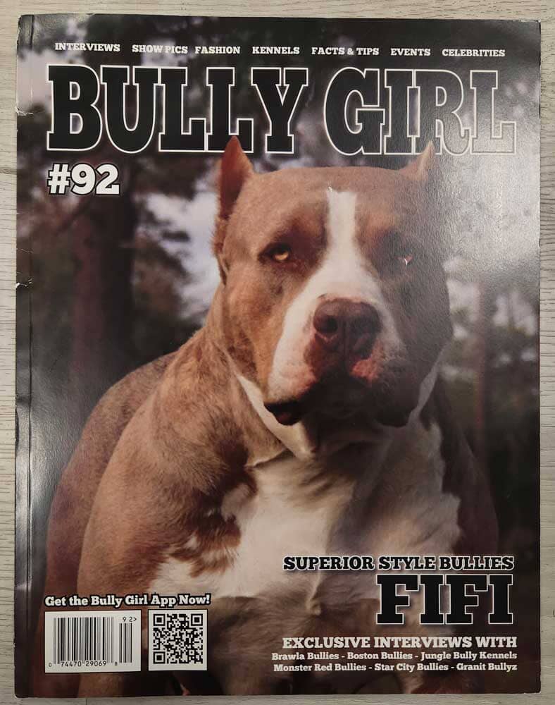 Bully Girl Magazine Back Issues (Used Condition) - BGM Warehouse - The Best Bully Breed Magazines, Clothing and Accessories