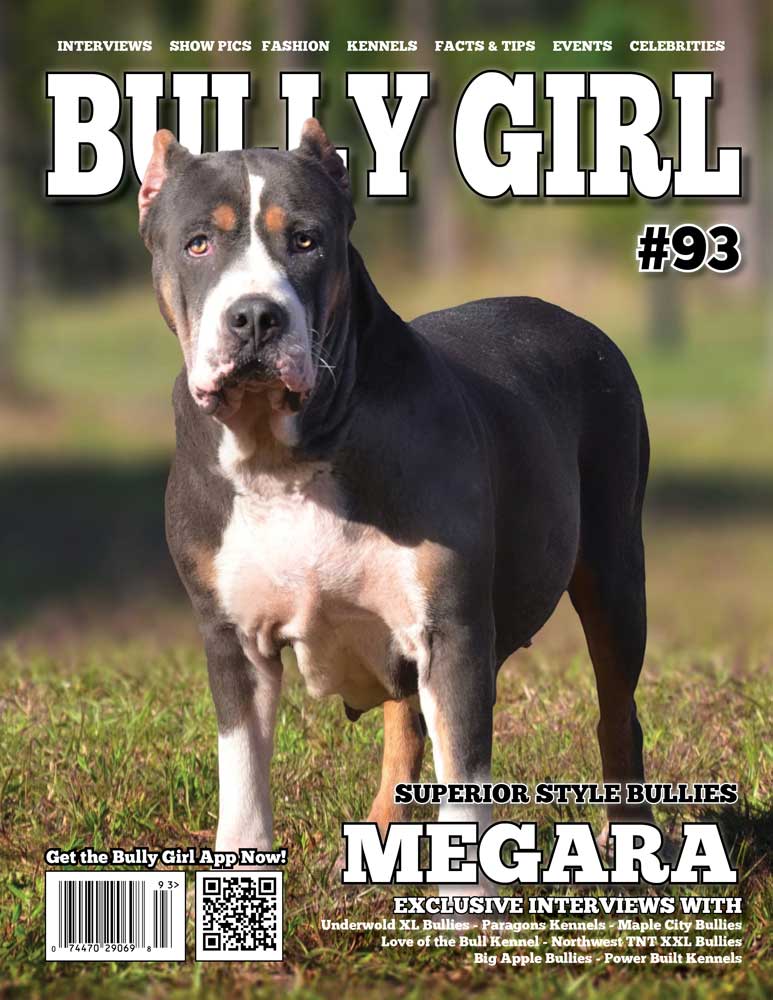 Bully Girl Magazine Issue 93