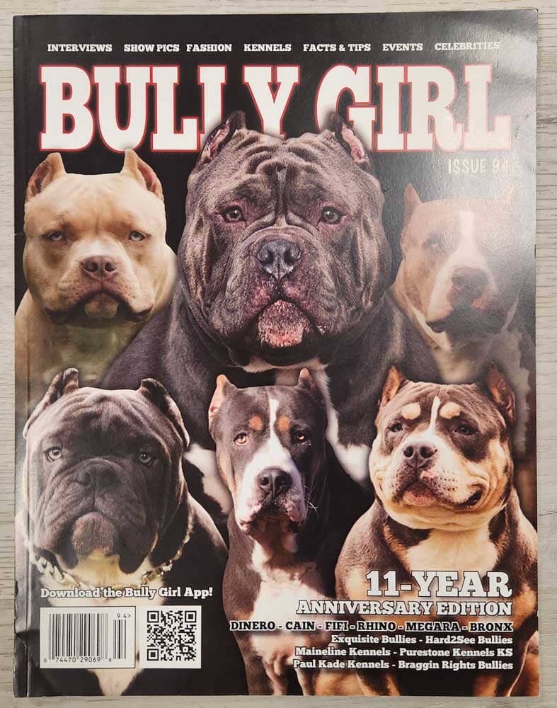 Bully Girl Magazine Back Issues (Used Condition) - BGM Warehouse - The Best Bully Breed Magazines, Clothing and Accessories