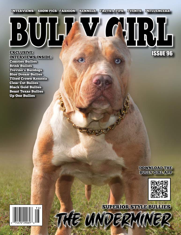 Bully Girl Magazine Issue 96 