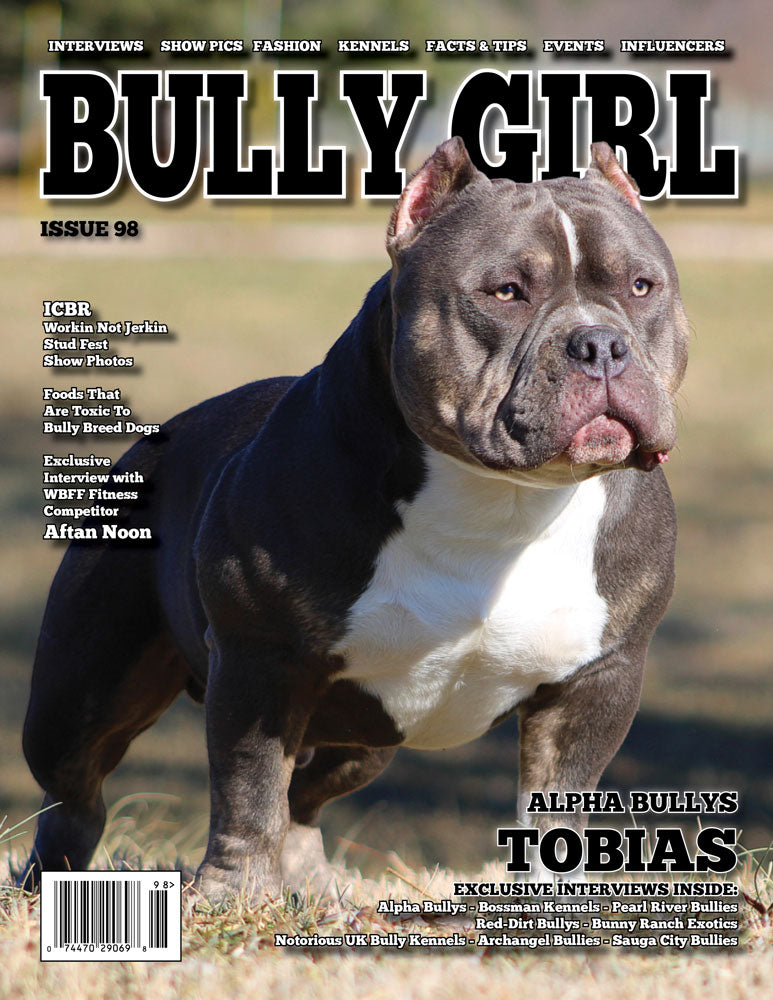 Bully Girl Magazine Issue 98