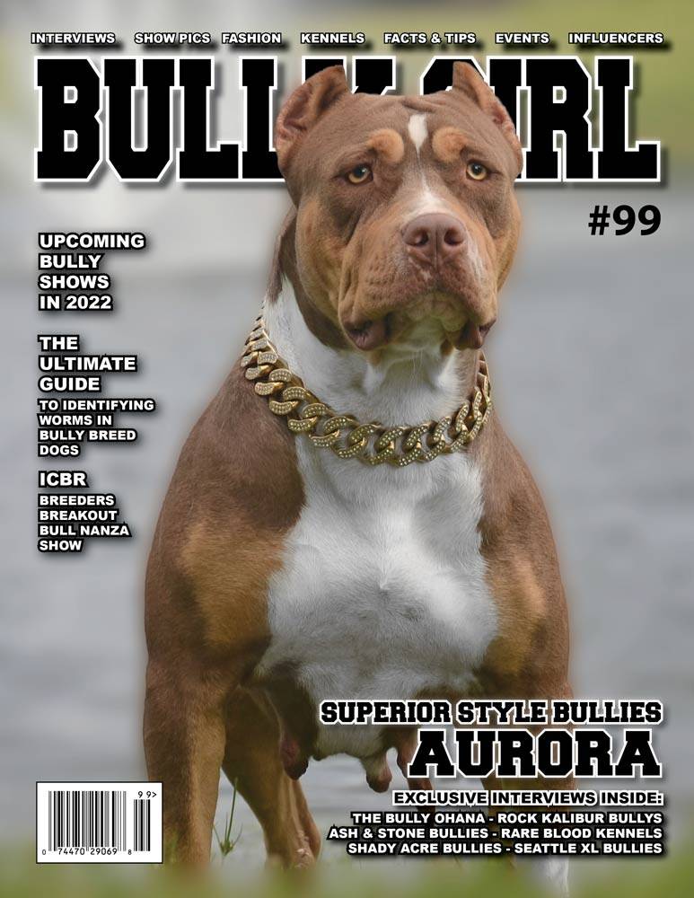 Bully Girl Magazine Issue 99 (Last Few Copies) - BGM Warehouse - American Bully Magazines and Supplies