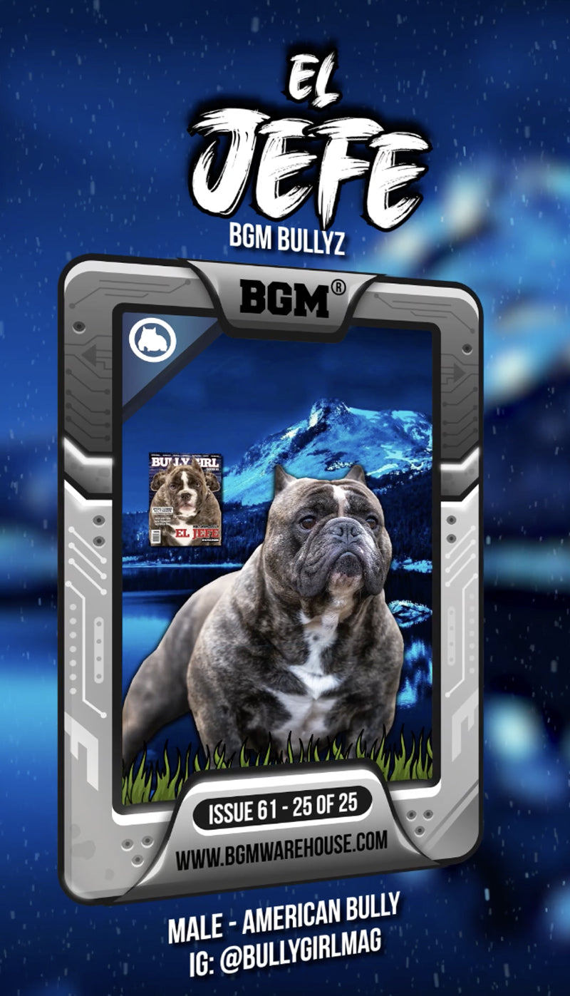 BGM 3D Promo Card for IG - BGM Warehouse - American Bully Magazines and Supplies