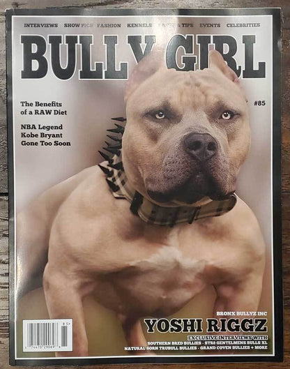 BGM Back Issues (Used Condition) - BGM Warehouse - The Best Bully Breed Magazines, Clothing and Accessories